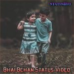 Bhai Behan Status Video Download